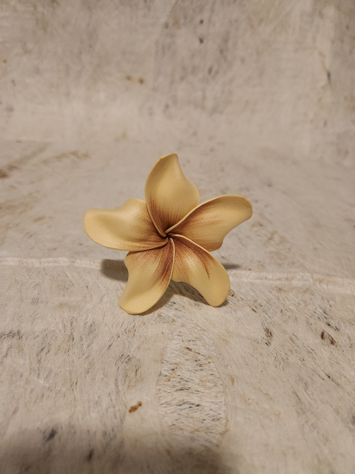 Frangipani Sei Assorted Colours