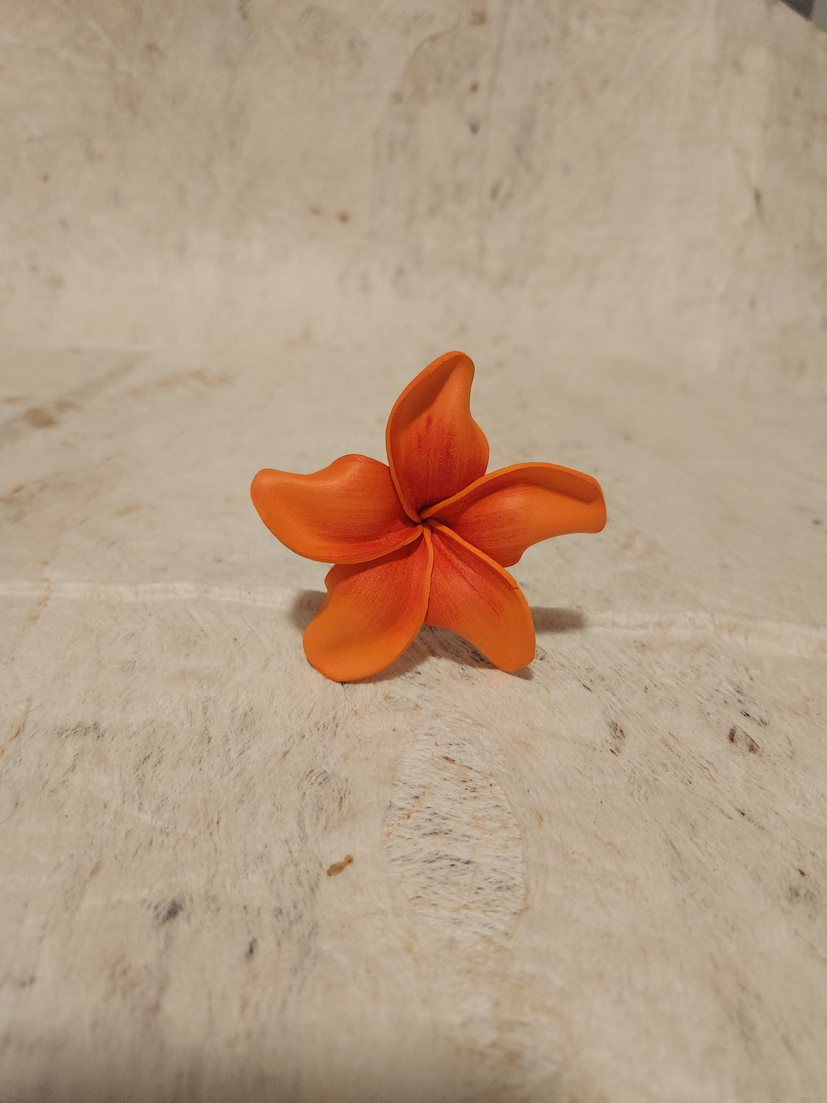 Frangipani Sei Assorted Colours