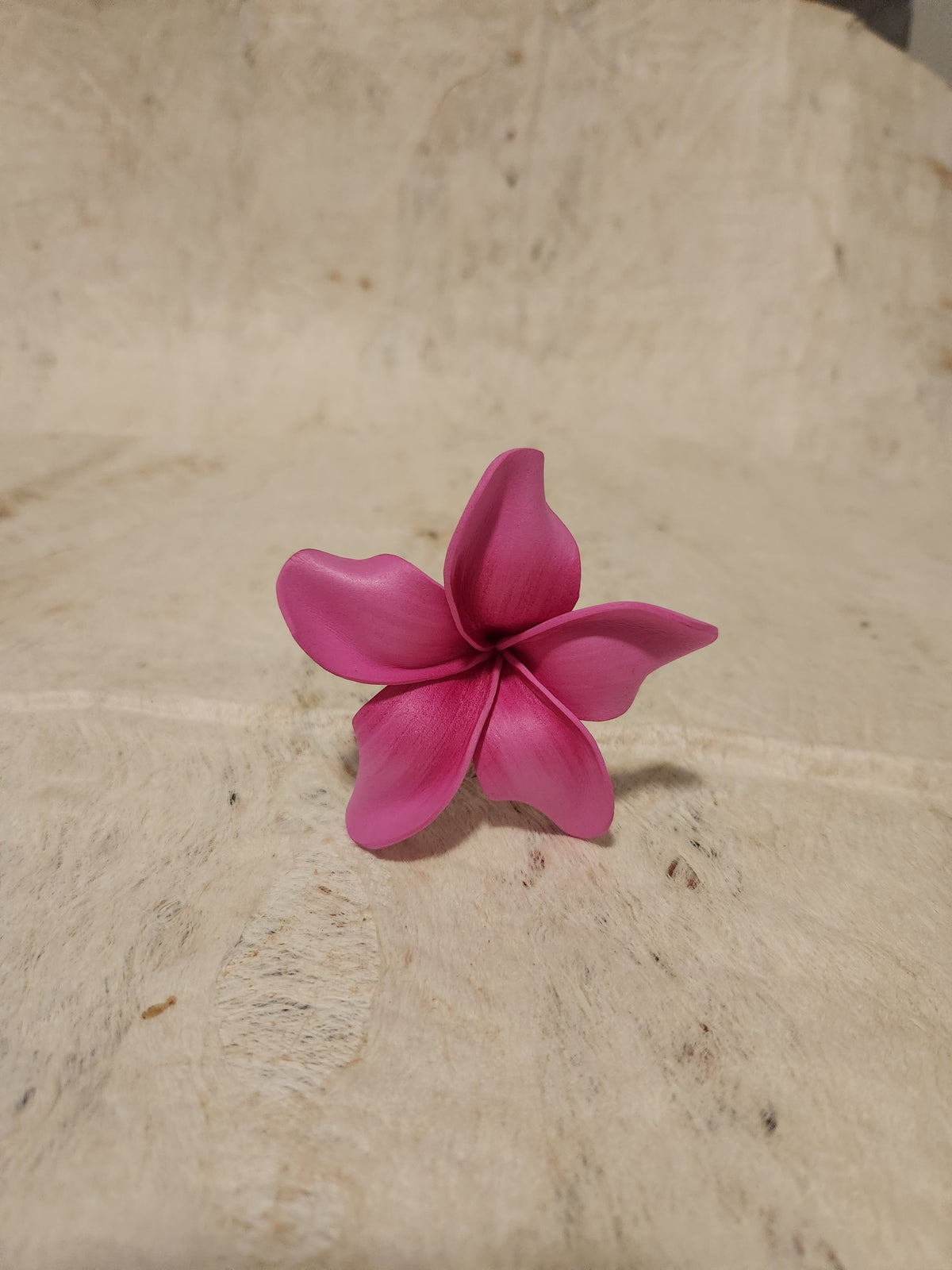 Frangipani Sei Assorted Colours