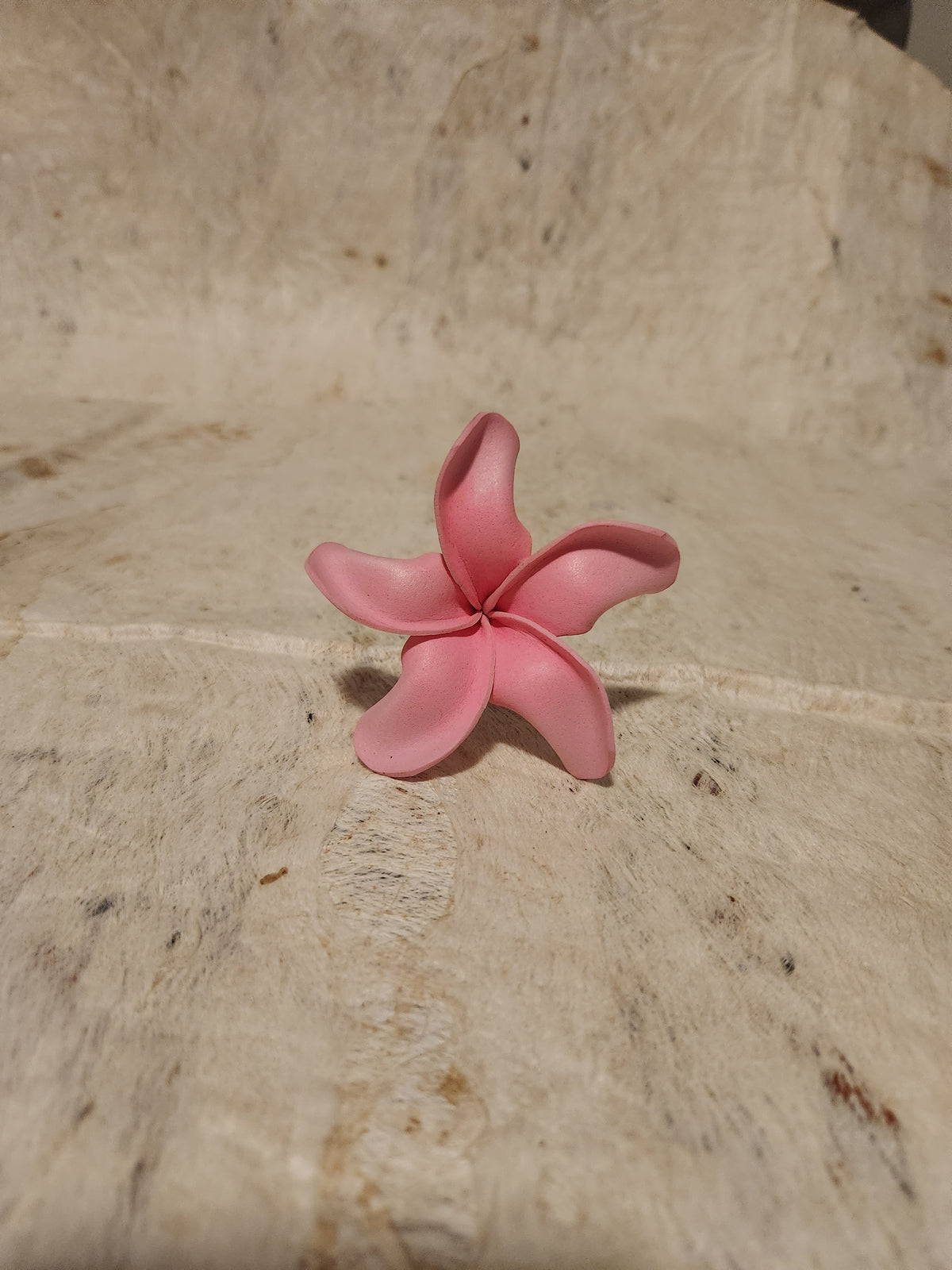 Frangipani Sei Assorted Colours