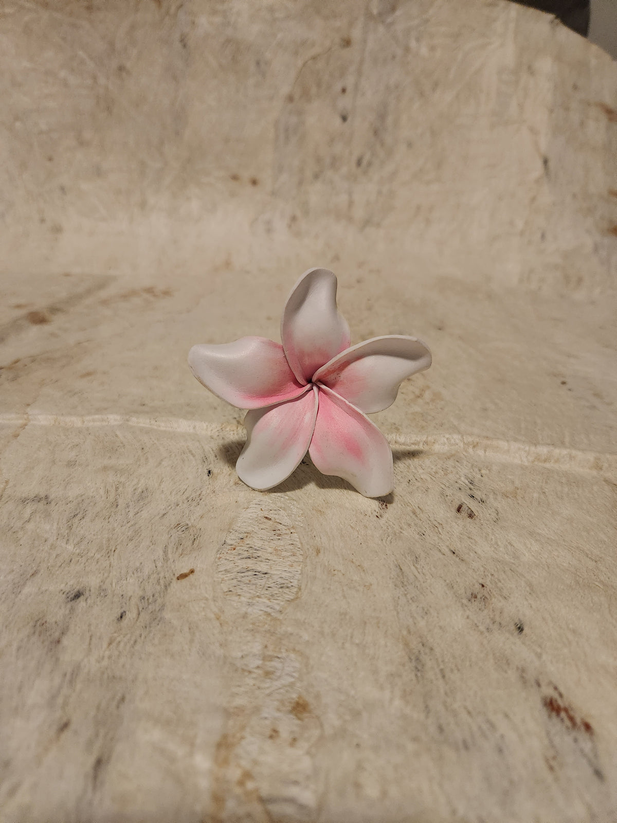 Frangipani Sei Assorted Colours