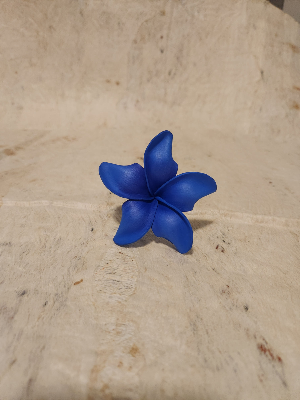 Frangipani Sei Assorted Colours