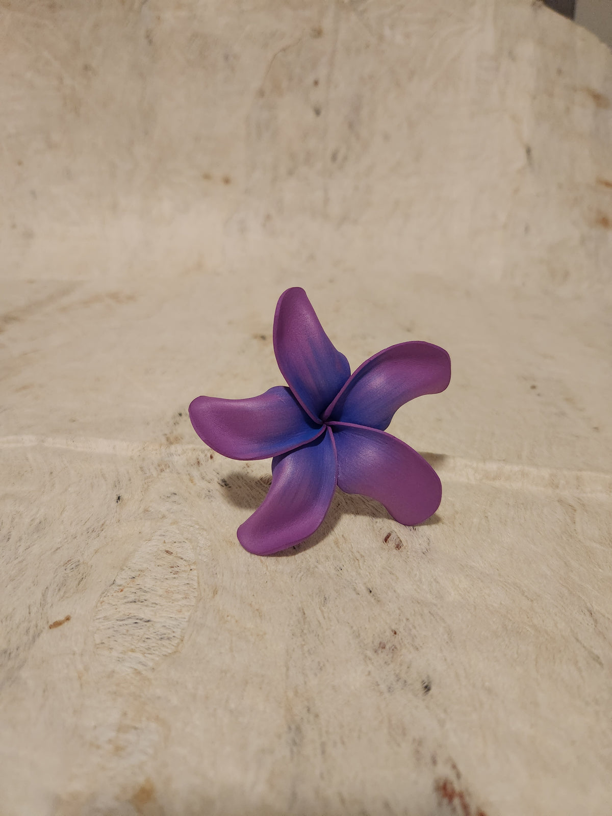 Frangipani Sei Assorted Colours