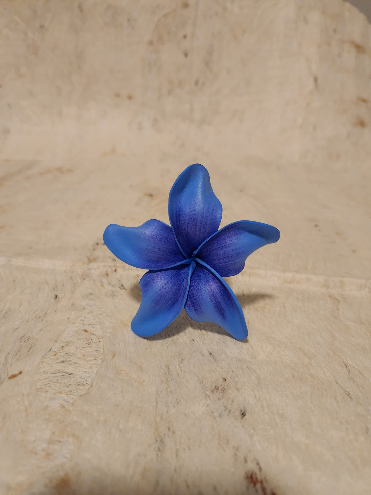 Frangipani Sei Assorted Colours