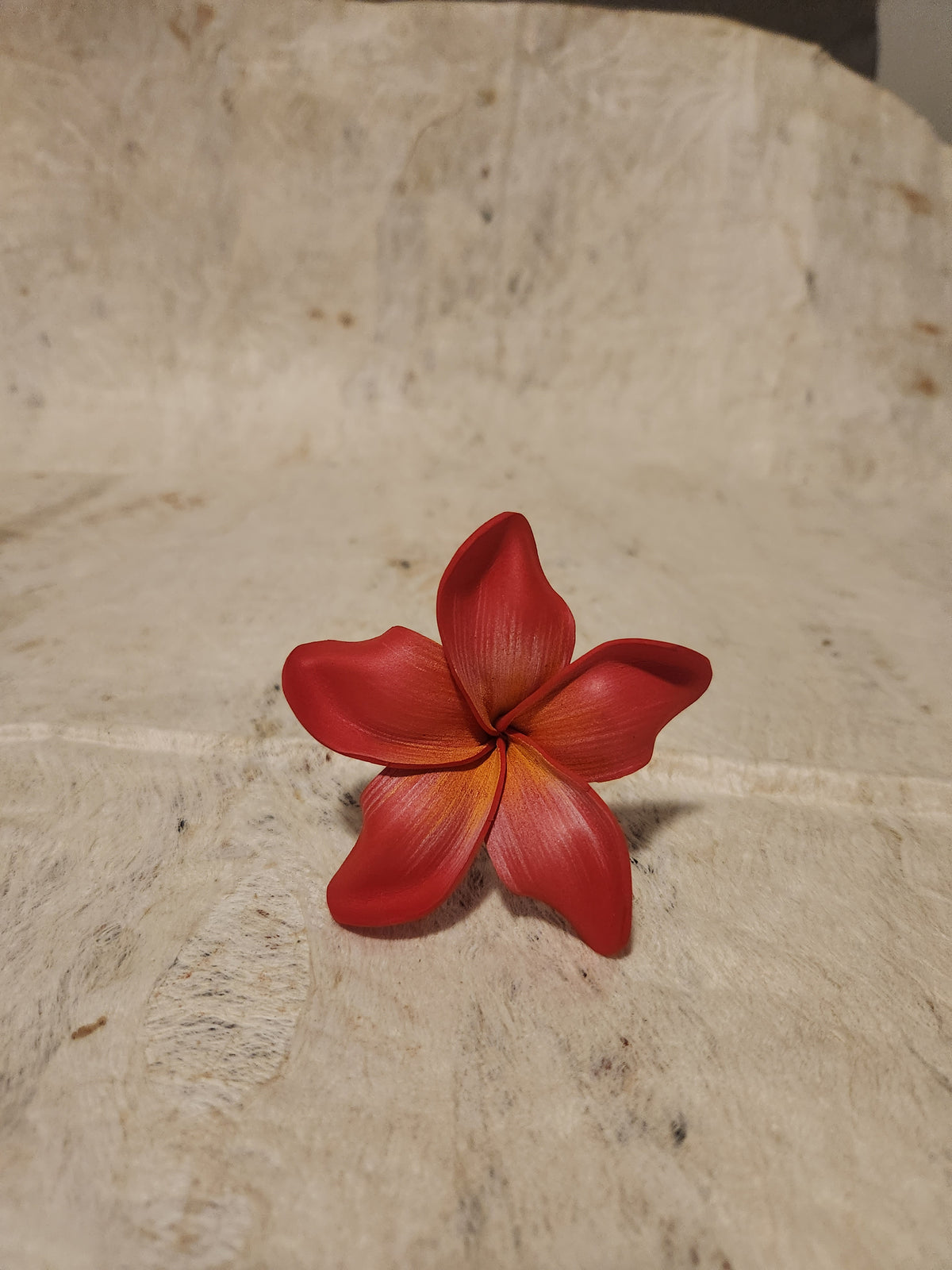 Frangipani Sei Assorted Colours