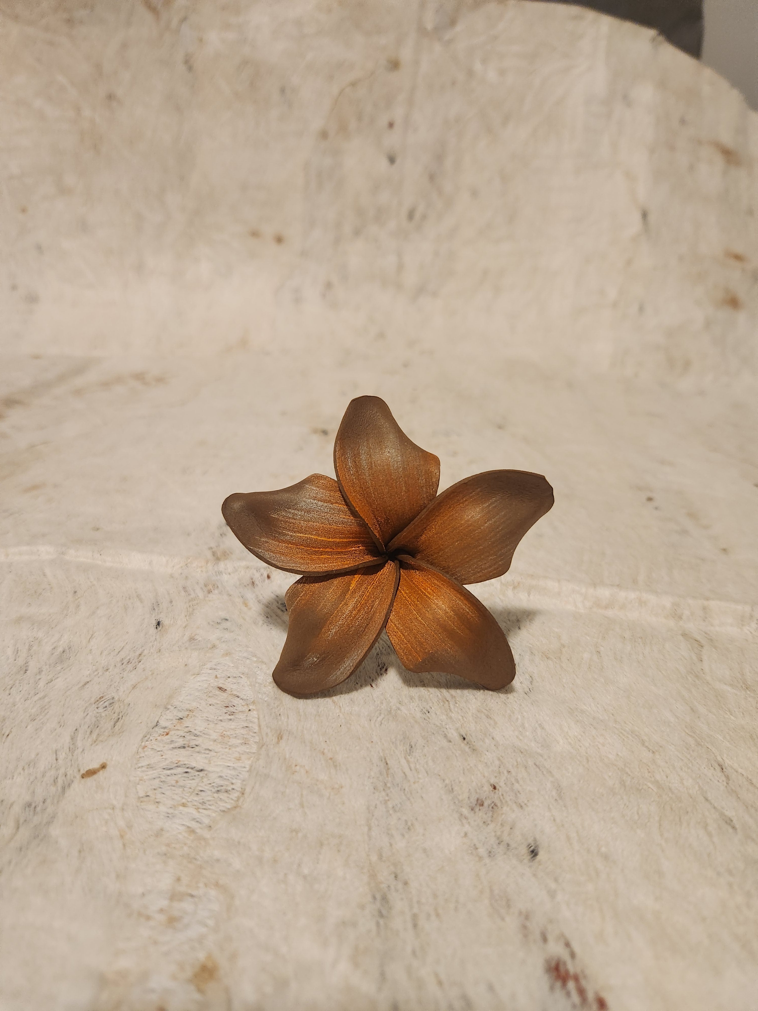 Frangipani Sei Assorted Colours