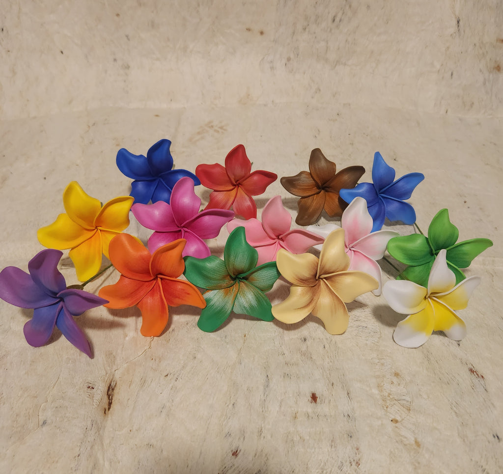 Frangipani Sei Assorted Colours