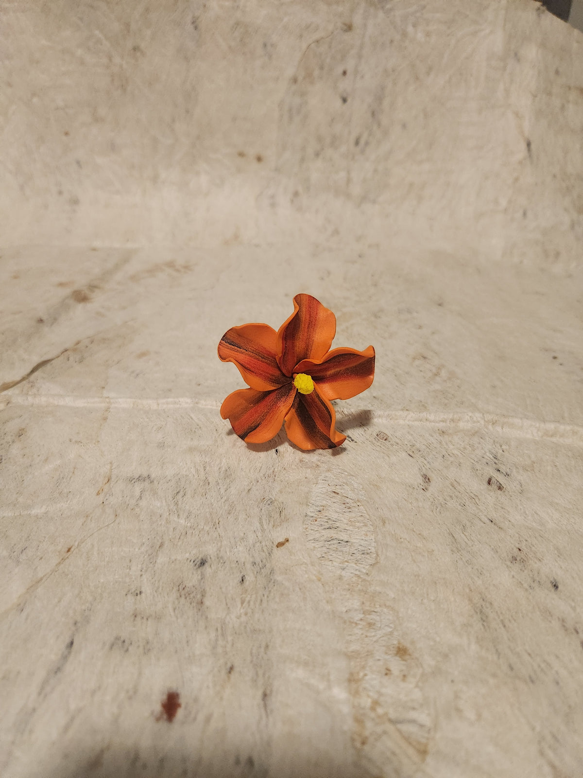 Hibiscus Sei Assorted Colours