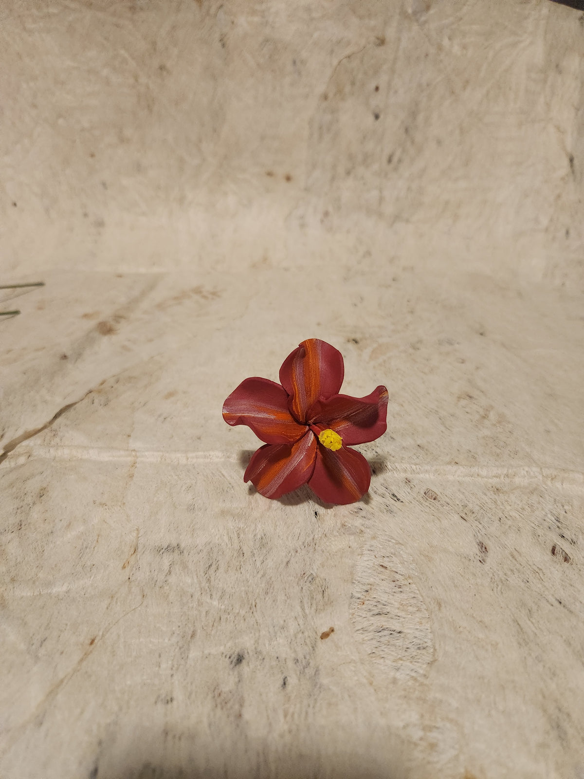 Hibiscus Sei Assorted Colours