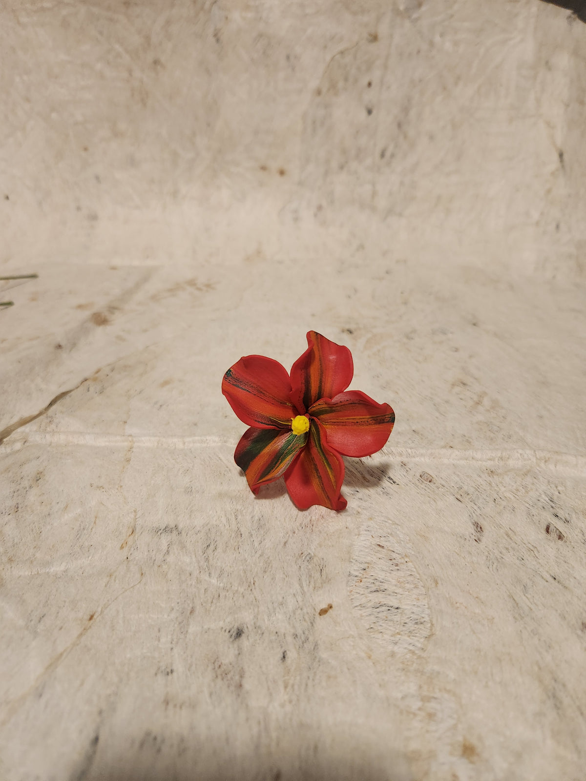Hibiscus Sei Assorted Colours