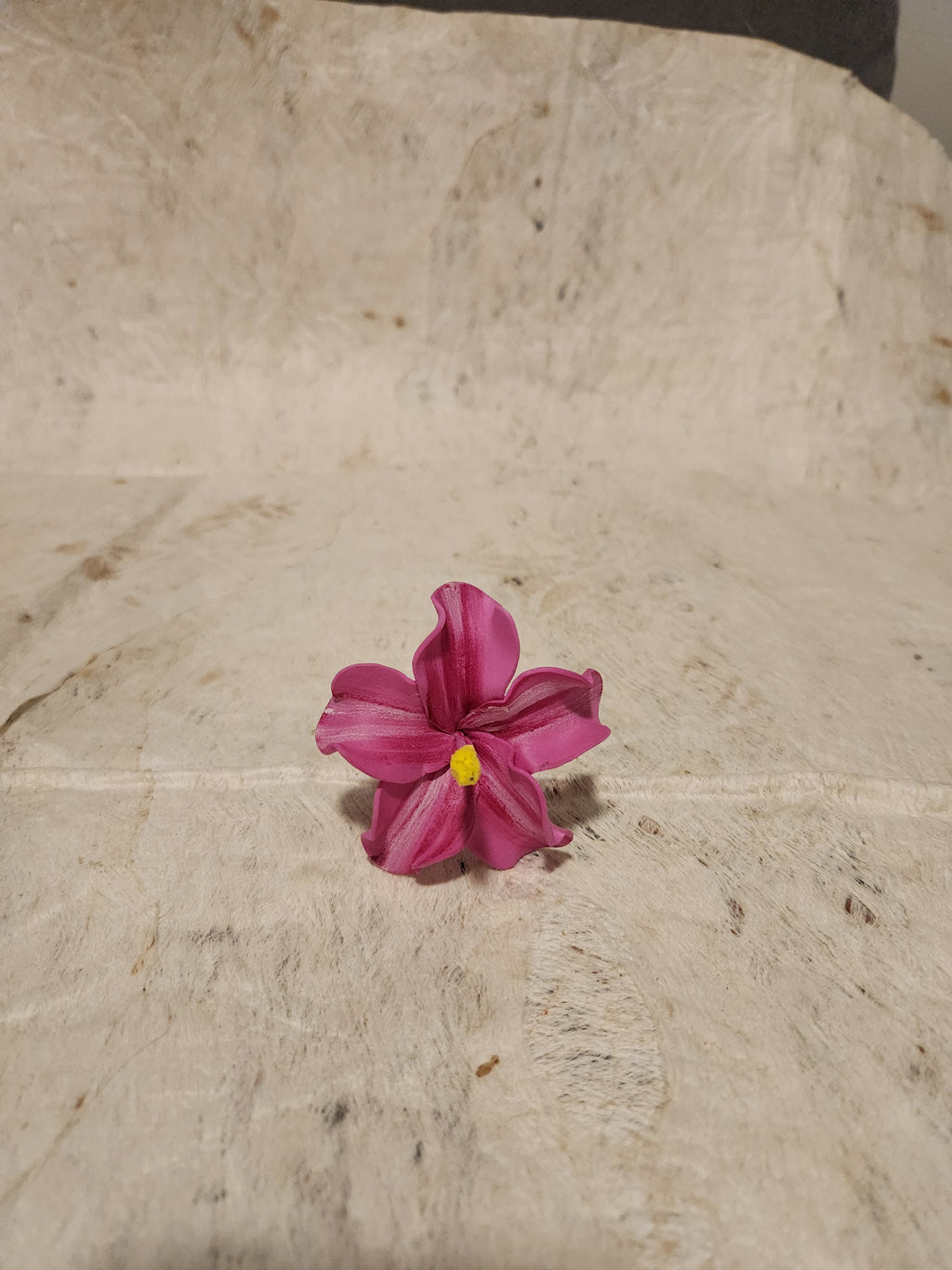 Hibiscus Sei Assorted Colours