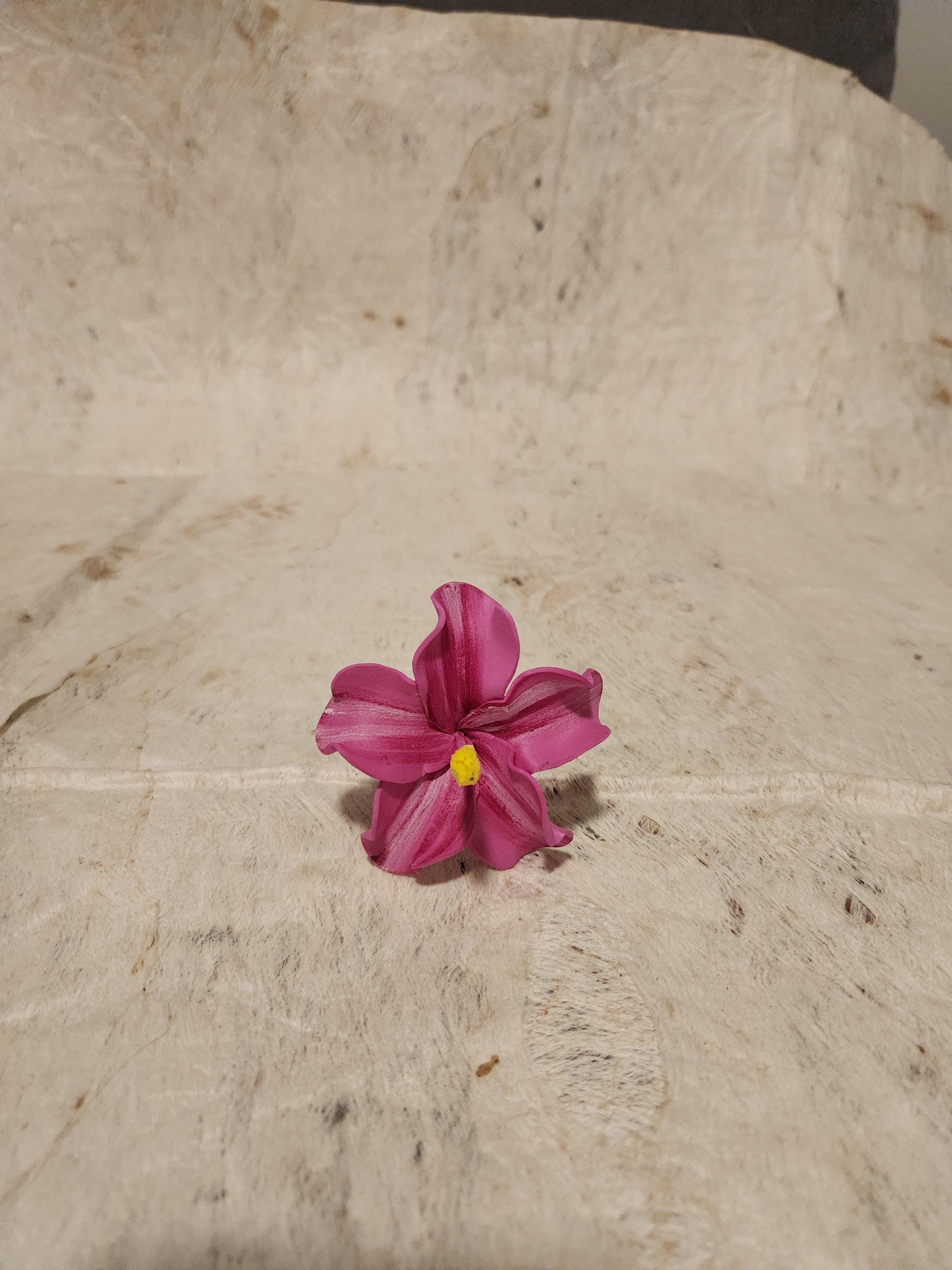 Hibiscus Sei Assorted Colours