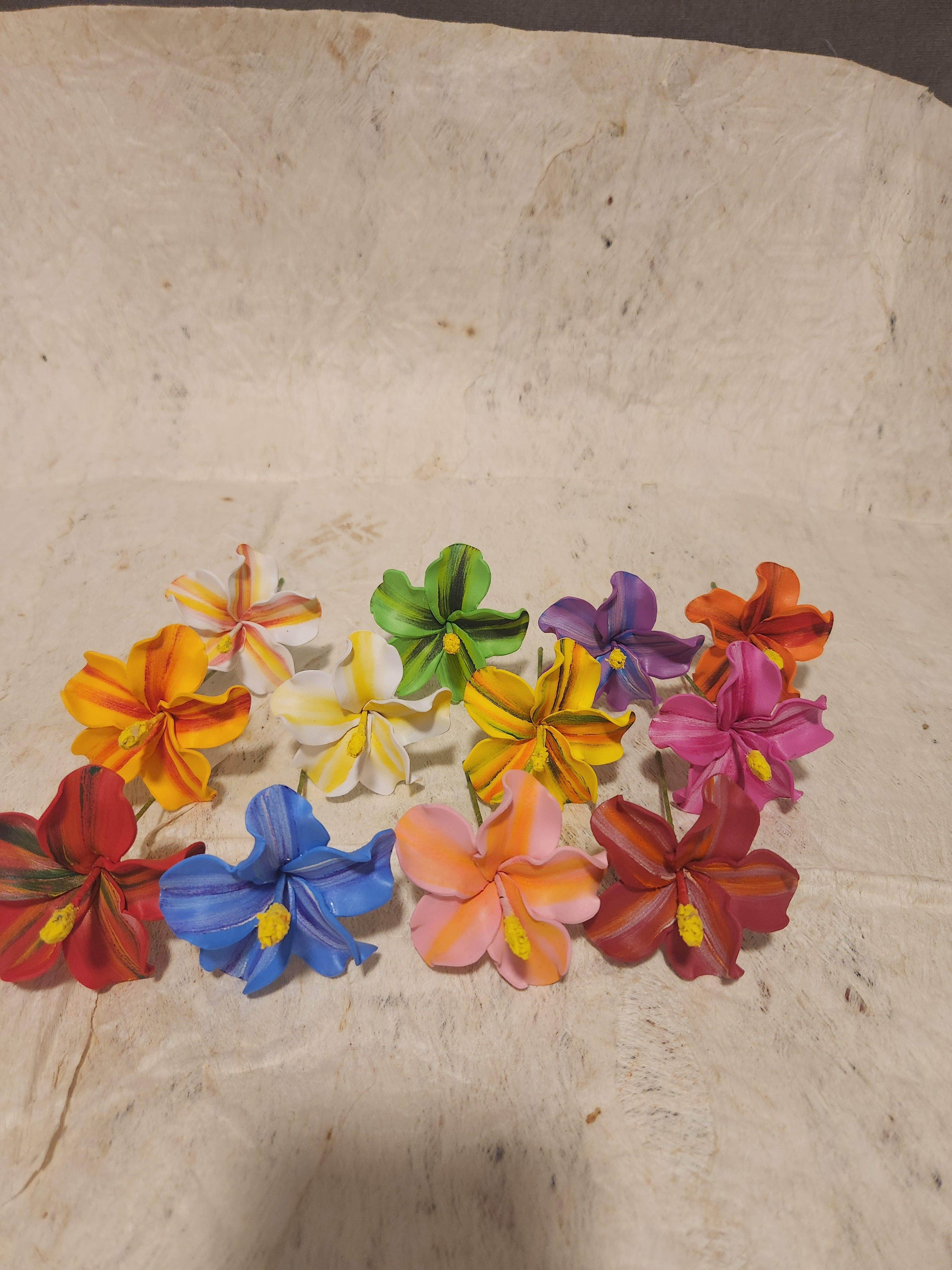 Hibiscus Sei Assorted Colours