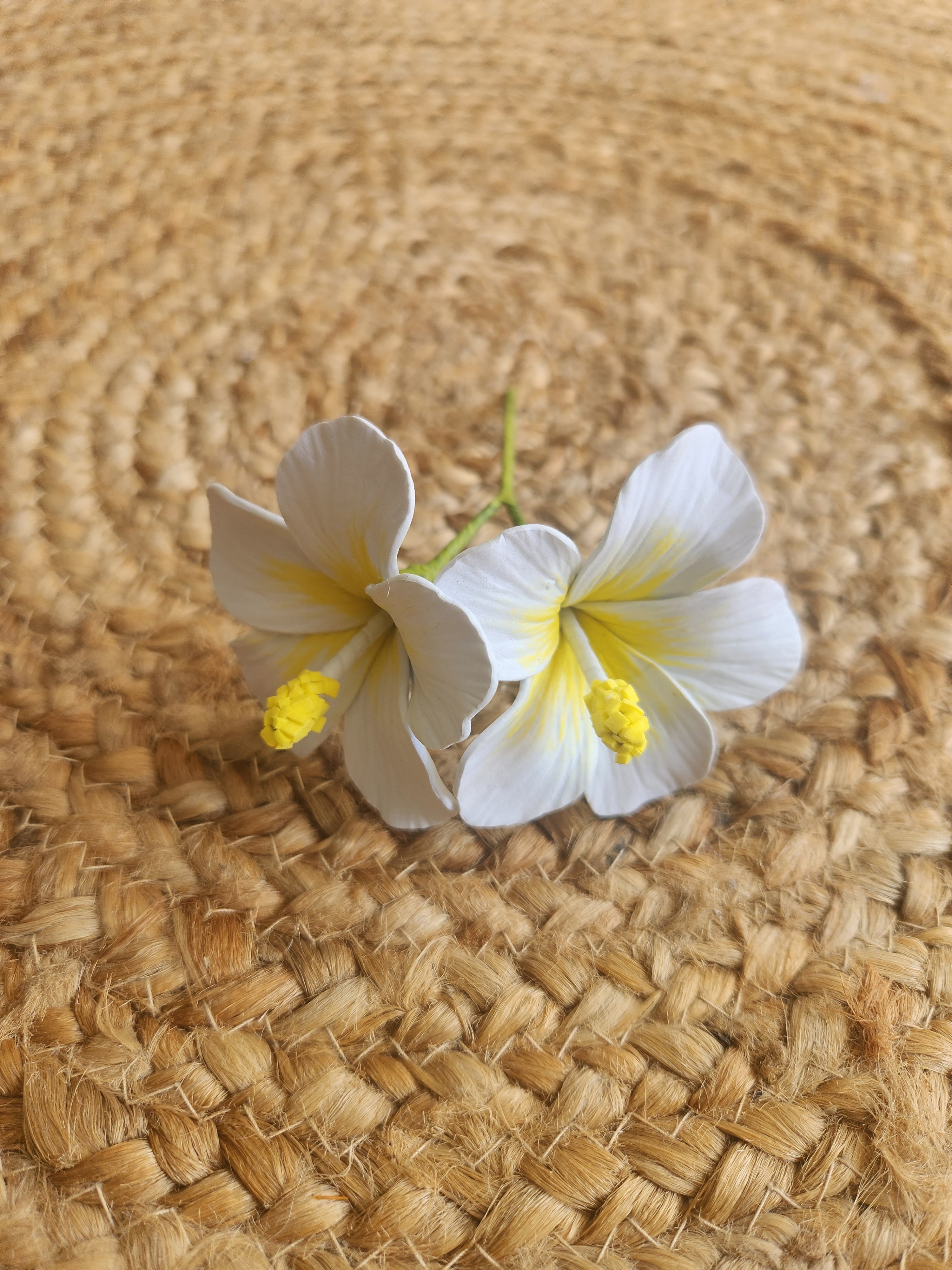 Mama Va’s Island Flower – Set 5 (Small)